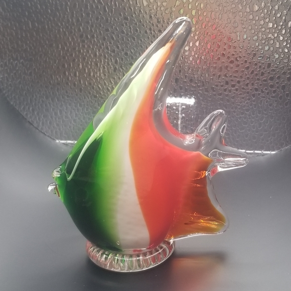 Glass fish - Picture 4 of 16